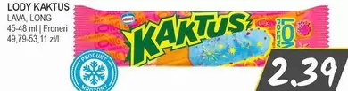 LODY KAKTUS
