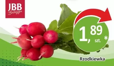 Rzodkiewka