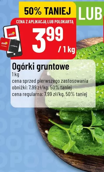 Polo - Ogórki gruntowe