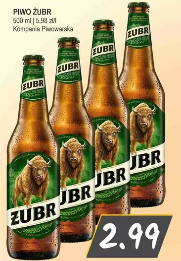 PIWO ŻUBR