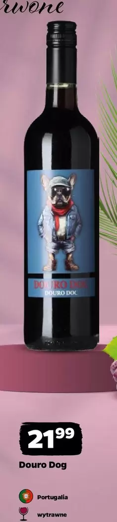 Doc - Douro Dog