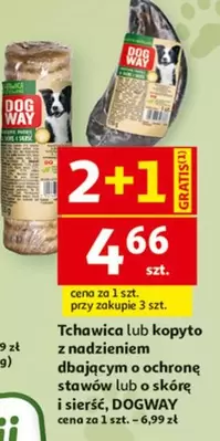 Tchawica lub kopyto z nadzieniem