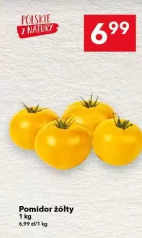 Pomidor żółty