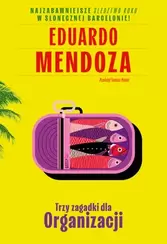 Trzy zagadki dla Organizacji (e-book)