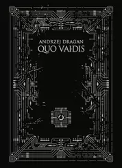 Quo vAIdis (e-book)