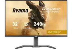 Monitor IIYAMA G-Master GB3295QSU-B1 Gold Phoenix 31.5 QHD VA 0.4ms 240Hz FreeSync Premium HDR400 Czarny