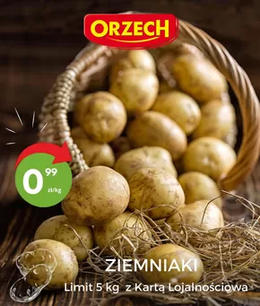 Nasze najlepsze oferty dla Ciebie