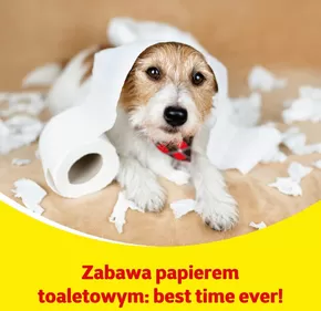 Katalog Kakadu | Ekskluzywne oferty dla naszych klientów | 2025-07-18T00:00:00.000Z - 2025-08-01T00:00:00.000Z