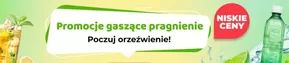 Wyprzedaż
