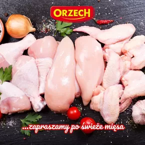 Katalog Orzech w: Mielec | Najlepsze oferty i rabaty | 2025-07-26T00:00:00.000Z - 2025-08-09T00:00:00.000Z