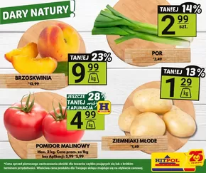 Katalog Hitpol w: Gorlice | Szeroki wybór ofert | 2025-08-01T00:00:00.000Z - 2025-08-15T00:00:00.000Z