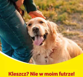 Nasze najlepsze oferty dla Ciebie