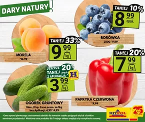 Najlepsze oferty i rabaty