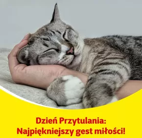 Najlepsze oferty dla wszystkich łowców okazji