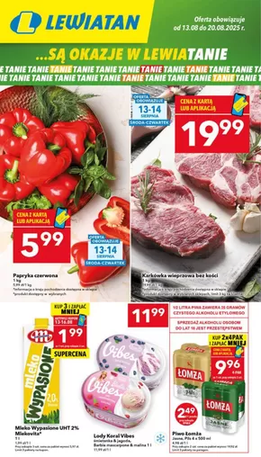 Katalog Lewiatan w: Zakroczym | Ekskluzywne okazje | 2025-08-13T00:00:00.000Z - 2025-08-20T00:00:00.000Z