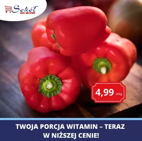 Katalog Sokół w: Wierzbica | sokol gazetka | 2025-08-16T00:00:00.000Z - 2025-08-30T00:00:00.000Z