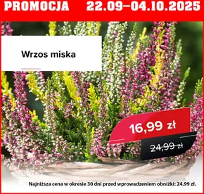 Katalog Szarotka w: Gdynia | Poznaj wszystkie promocje  | 2025-09-22T00:00:00.000Z - 2025-10-04T00:00:00.000Z