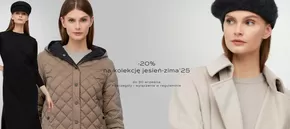 - 20 % 
