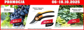 Katalog Szarotka w: Myszyniec | Promocja do 18.10 | 2025-10-06T00:00:00.000Z - 2025-10-18T00:00:00.000Z