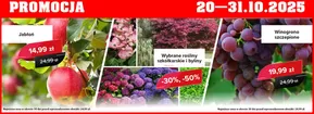 Katalog Szarotka w: Sędziszów Małopolski | Promocja do 31.10 | 2025-10-20T00:00:00.000Z - 2025-10-31T00:00:00.000Z