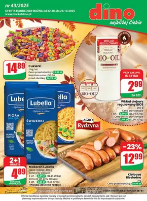 Katalog Dino w: Strzelin | maly pdf dino 43 www 2 | 2025-10-22T00:00:00.000Z - 2025-11-05T00:00:00.000Z