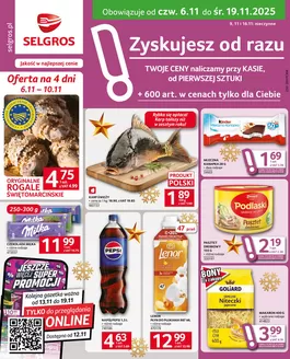 Katalog Selgros w: Katowice | Oferta dla profesjonalistów | 2025-11-06T00:00:00.000Z - 2025-11-19T00:00:00.000Z