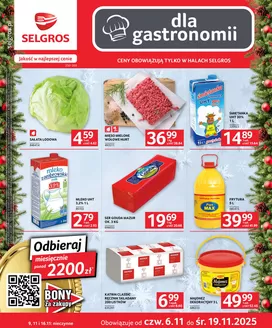Katalog Selgros w: Katowice | Oferta dla gastronomii | 2025-11-06T00:00:00.000Z - 2025-11-19T00:00:00.000Z
