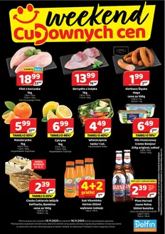 Katalog Delfin | Świetna oferta dla wszystkich klientów | 2025-11-13T00:00:00.000Z - 2025-11-16T00:00:00.000Z