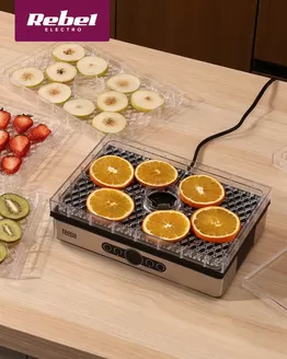 Katalog Rebel Electro w: Miechów | Świetne rabaty na wybrane produkty | 2025-12-05T00:00:00.000Z - 2025-12-19T00:00:00.000Z