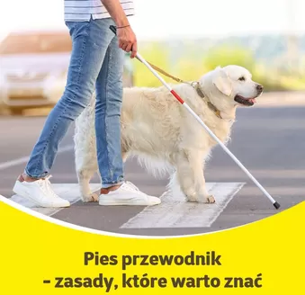 Katalog Kakadu w: Łaszczów | Kakadu gazetka | 2025-12-06T00:00:00.000Z - 2025-12-20T00:00:00.000Z