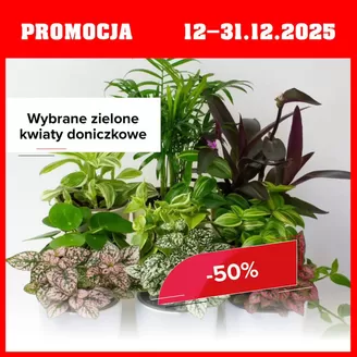 Katalog Szarotka w: Sierpc | Takiej okazji | 2025-12-12T00:00:00.000Z - 2025-12-31T00:00:00.000Z