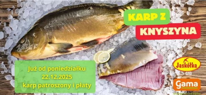 Katalog Jaskółka w: Chodecz | Jaskółka gazetka | 2025-12-22T00:00:00.000Z - 2025-12-22T00:00:00.000Z