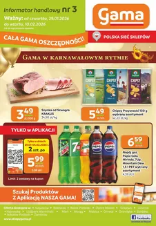 Katalog GAMA w: Niemce | Szeroki wybór ofert | 2026-01-29T00:00:00.000Z - 2026-02-10T00:00:00.000Z