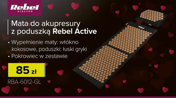 Katalog Rebel Electro w: Chełmno | Oszczędzaj teraz dzięki naszym ofertom | 2026-02-01T00:00:00.000Z - 2026-02-28T00:00:00.000Z