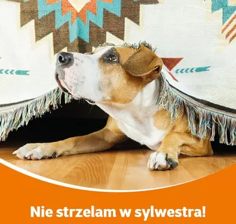 Katalog Kakadu w: Niewodnica Korycka | Kakadu gazetka | 2026-02-15T00:00:00.000Z - 2026-03-01T00:00:00.000Z