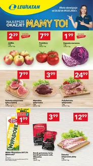Katalog Lewiatan | Ekskluzywne oferty dla naszych klientów | 2026-02-26T00:00:00.000Z - 2026-04-03T00:00:00.000Z