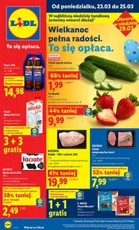Katalog Lidl w: Mrozy | Gazetka od 23.03 | 2026-03-23T00:00:00.000Z - 2026-03-25T00:00:00.000Z