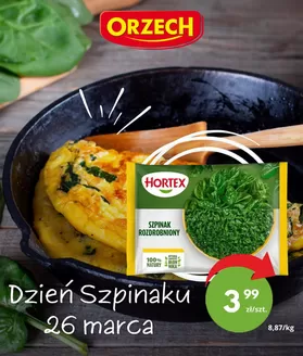 Katalog Orzech w: Święta Katarzyna (dolnośląskie) | Specjalne oferty dla Ciebie | 2026-03-26T00:00:00.000Z - 2026-03-26T00:00:00.000Z