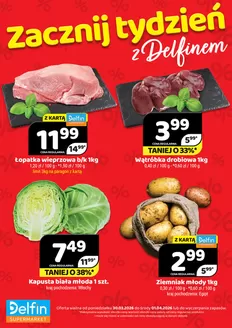 Katalog Delfin w: Lublin | Najlepsze oferty dla wszystkich klientów | 2026-03-30T00:00:00.000Z - 2026-04-01T00:00:00.000Z