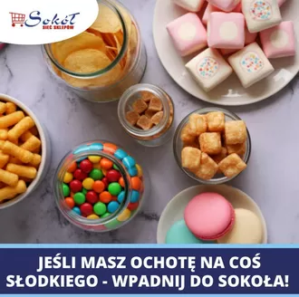 Katalog Sokół w: Białe Błota | Najlepsze oferty dla wszystkich klientów | 2026-04-10T00:00:00.000Z - 2026-04-24T00:00:00.000Z