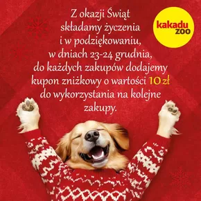 Aktualne okazje i oferty