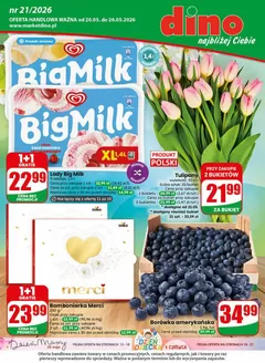 Katalog Dino w: Borów | Oferta handlowa wazna od 20.05. Do 26.05.2026 | 2026-05-20T00:00:00.000Z - 2026-05-26T00:00:00.000Z