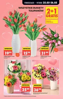 Katalog Biedronka w: Skrzyszów (Śląskie) | Świetna oferta dla wszystkich klientów | 2026-05-25T00:00:00.000Z - 2026-05-26T00:00:00.000Z