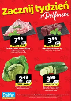 Katalog Delfin w: Goleniów | Specjalne oferty dla Ciebie | 2026-06-08T00:00:00.000Z - 2026-06-10T00:00:00.000Z