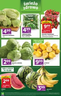 Katalog Stokrotka w: Ulanów | Świetna oferta dla łowców okazji | 2026-06-11T00:00:00.000Z - 2026-06-17T00:00:00.000Z