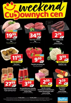Katalog Delfin w: Pajęczno | Nasze najlepsze oferty dla Ciebie | 2026-06-11T00:00:00.000Z - 2026-06-14T00:00:00.000Z