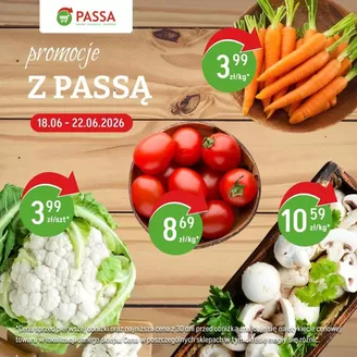Katalog Passa w: Mrocza | Rabaty i promocje | 2026-06-18T00:00:00.000Z - 2026-06-22T00:00:00.000Z