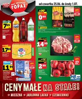 Katalog Topaz | Szeroki wybór ofert | 2026-06-25T00:00:00.000Z - 2026-07-01T00:00:00.000Z