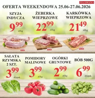 Katalog Pelcowizna | Nasze najlepsze oferty dla Ciebie | 2026-06-25T00:00:00.000Z - 2026-06-27T00:00:00.000Z