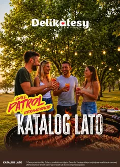 Katalog Delikatesy Centrum | Najlepsze oferty dla wszystkich klientów | 2026-07-02T00:00:00.000Z - 2026-07-22T00:00:00.000Z